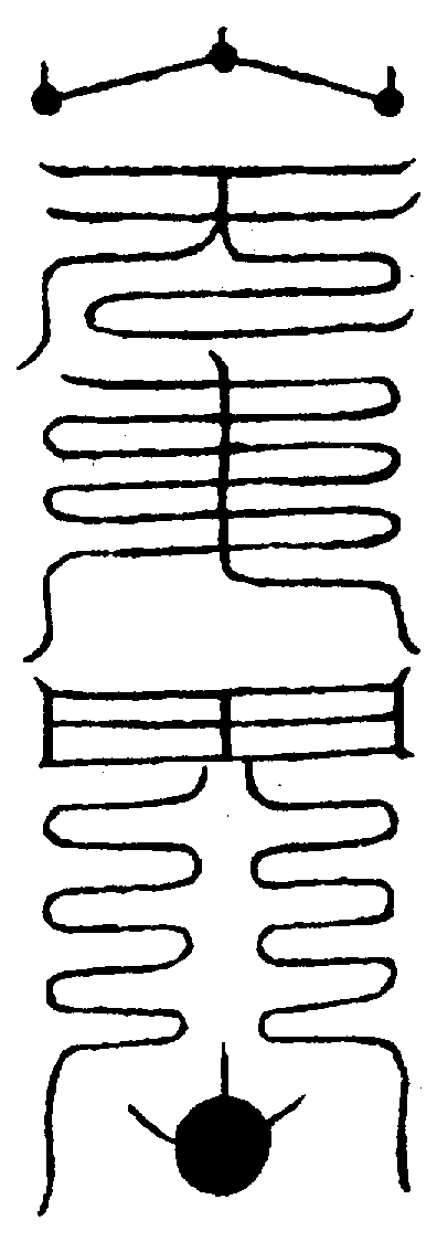 〔圖〕