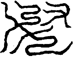 〔圖〕