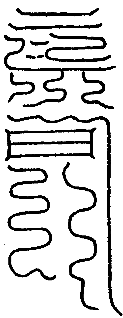 〔圖〕