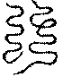 〔圖〕
