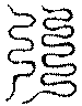 〔圖〕