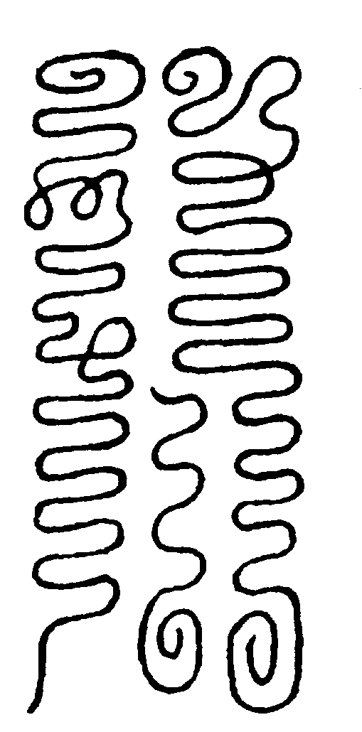 〔圖〕