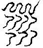 〔圖〕