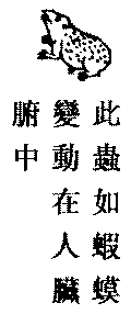 〔圖〕