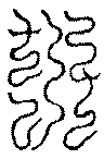 〔圖〕