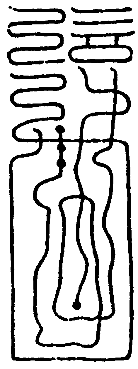 〔圖〕