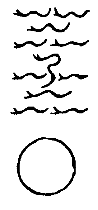 〔圖〕