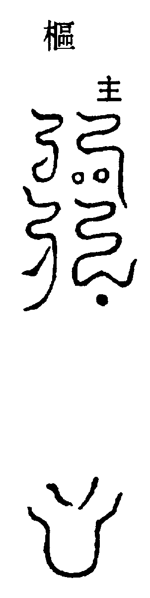 〔圖〕