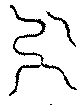 〔圖〕