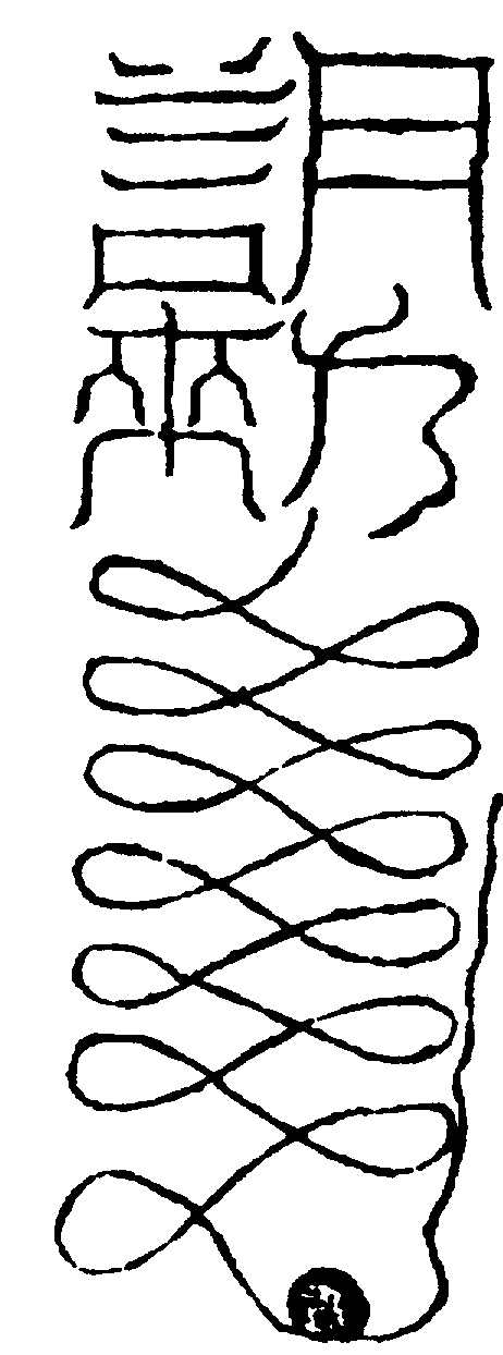 〔圖〕