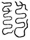 〔圖〕