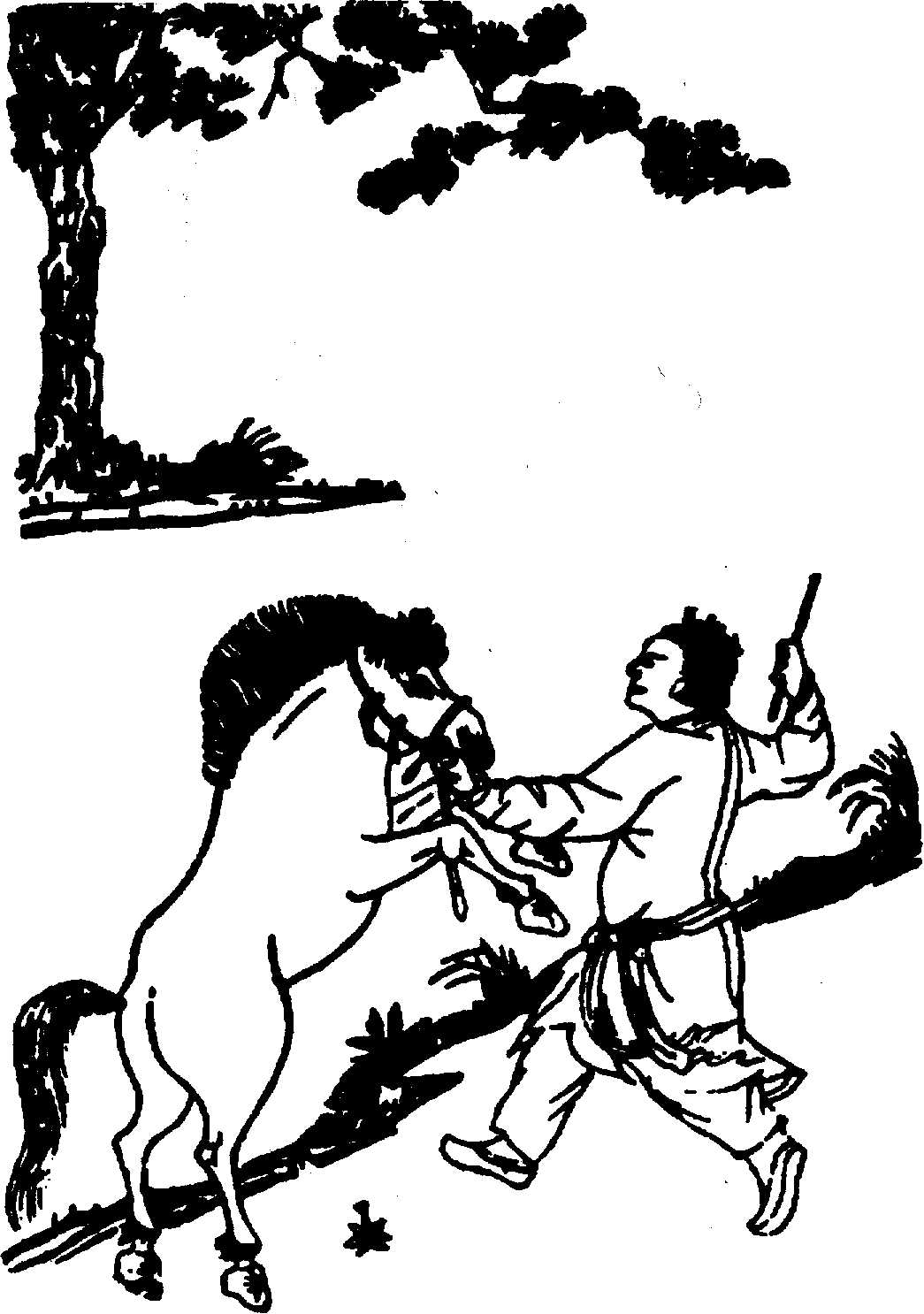 〔圖〕