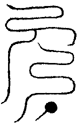 〔圖〕