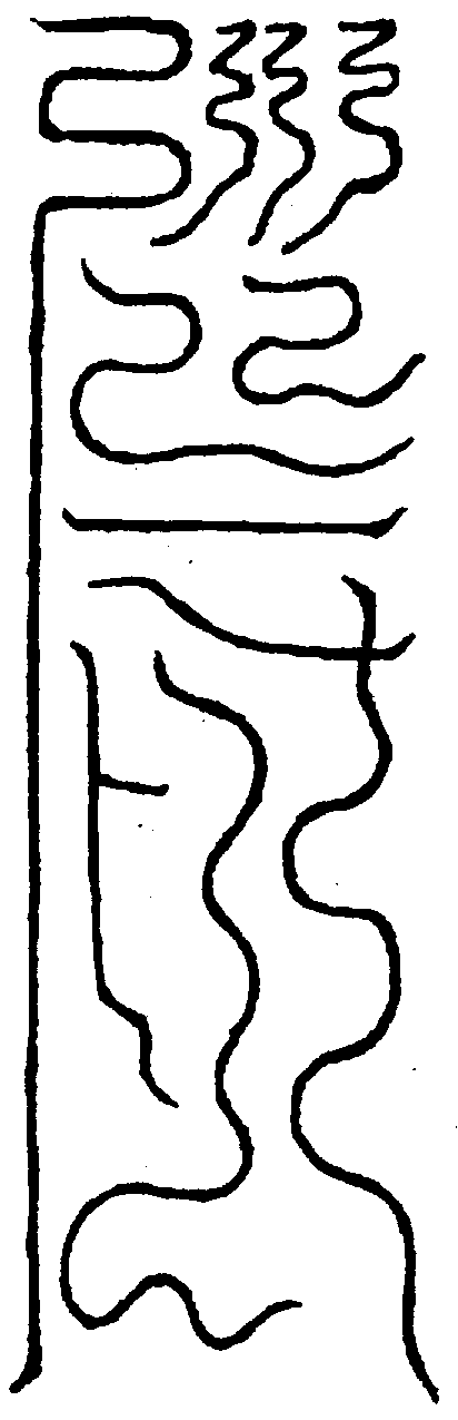 〔圖〕