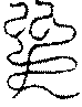 〔圖〕