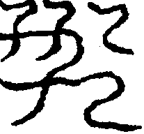 〔圖〕