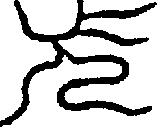 〔圖〕