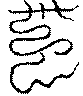 〔圖〕