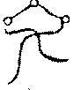 〔圖〕