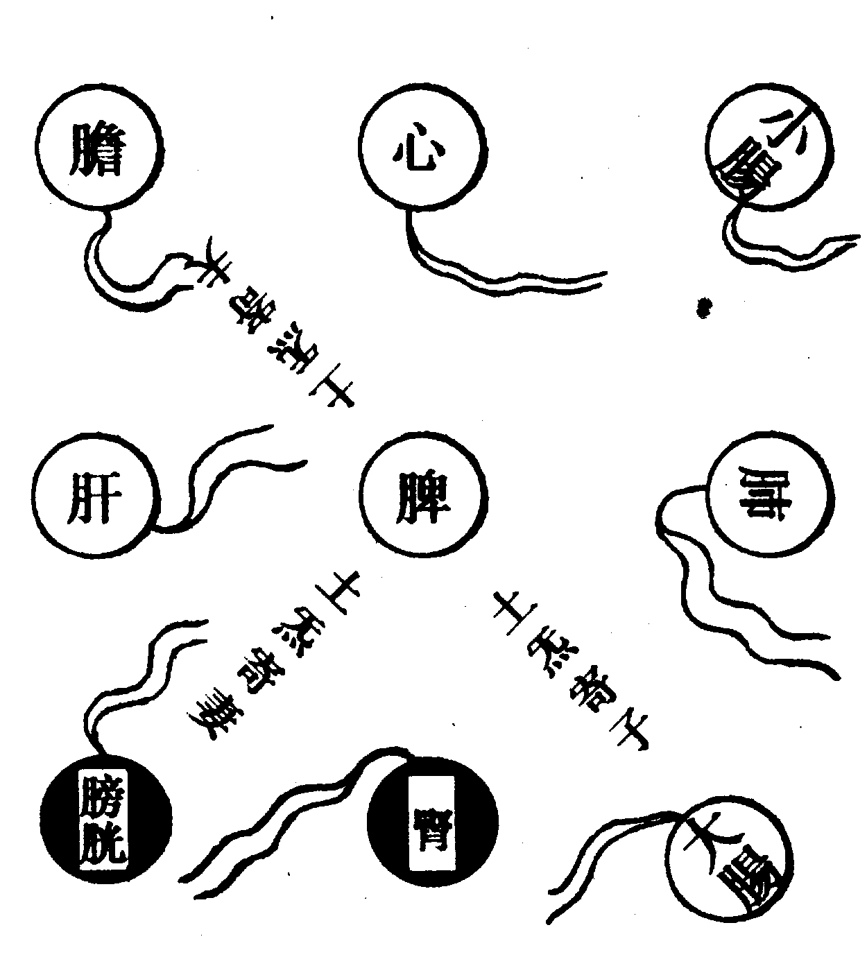 〔圖〕