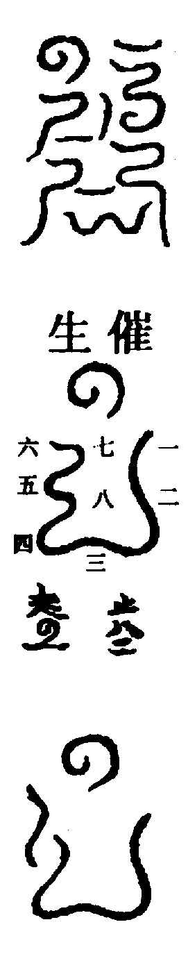 〔圖〕