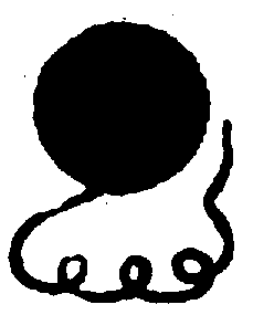 〔圖〕