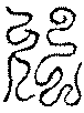 〔圖〕