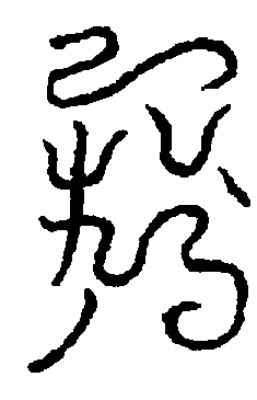〔圖〕