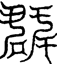 〔圖〕