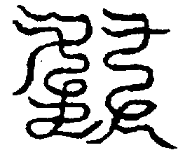 〔圖〕