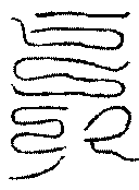 〔圖〕