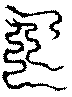 〔圖〕