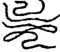 〔圖〕
