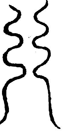 〔圖〕