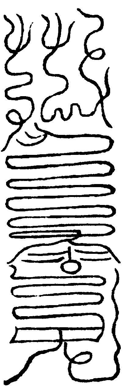 〔圖〕