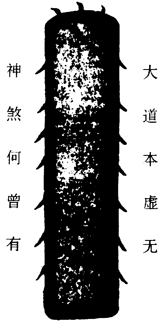〔圖〕
