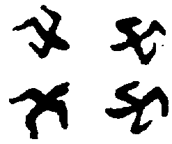 〔圖〕