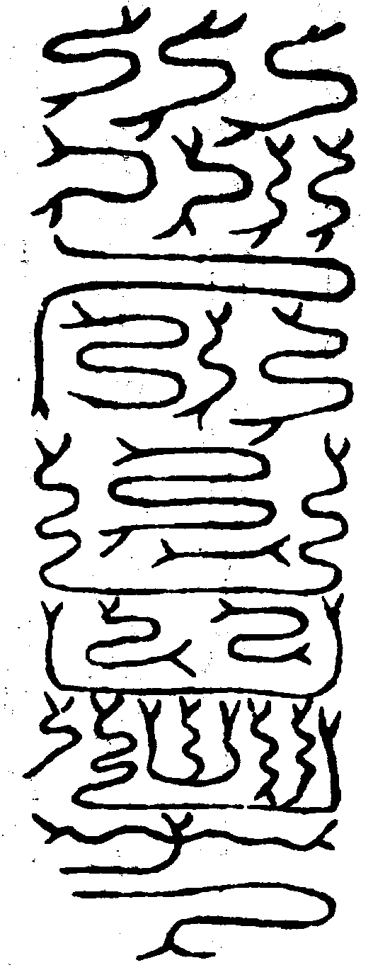〔圖〕