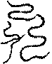 〔圖〕