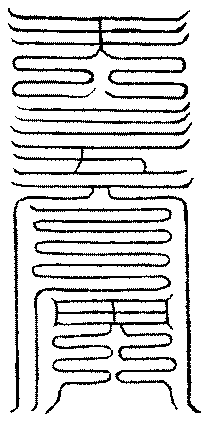 〔圖〕