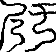 〔圖〕