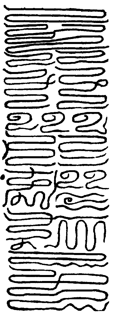 〔圖〕