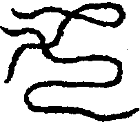 〔圖〕