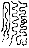 〔圖〕
