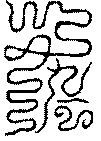 〔圖〕