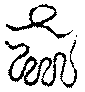 〔圖〕