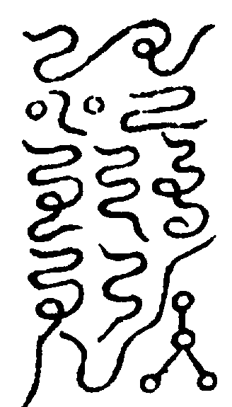 〔圖〕