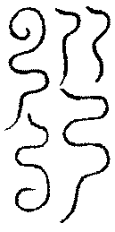 〔圖〕