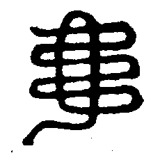 〔圖〕