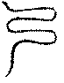 〔圖〕